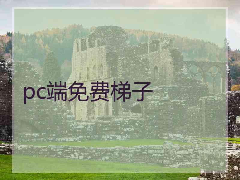 pc端免费梯子