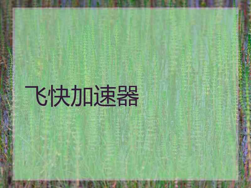 飞快加速器