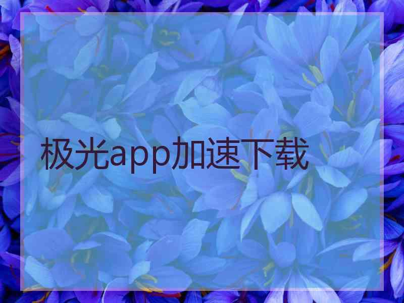 极光app加速下载