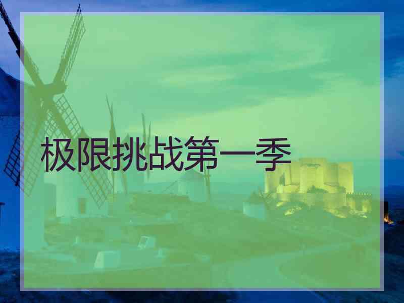 极限挑战第一季