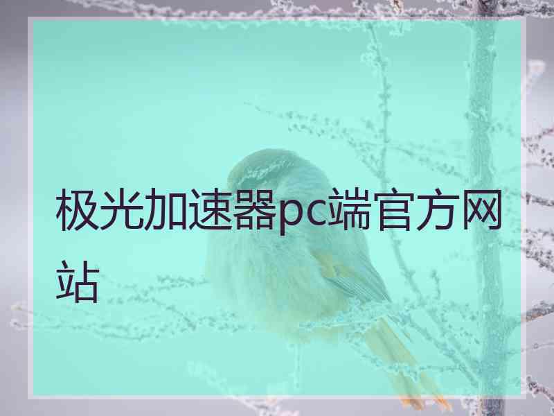 极光加速器pc端官方网站