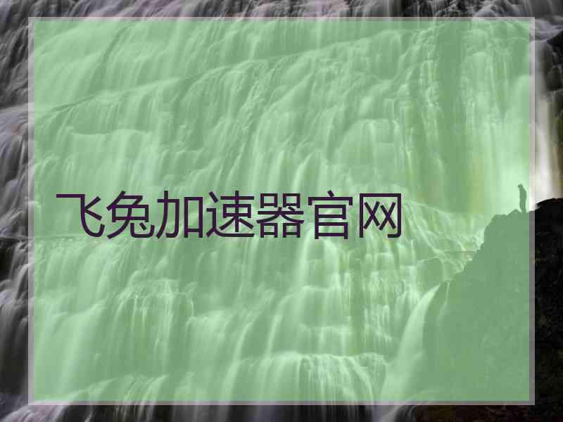 飞兔加速器官网