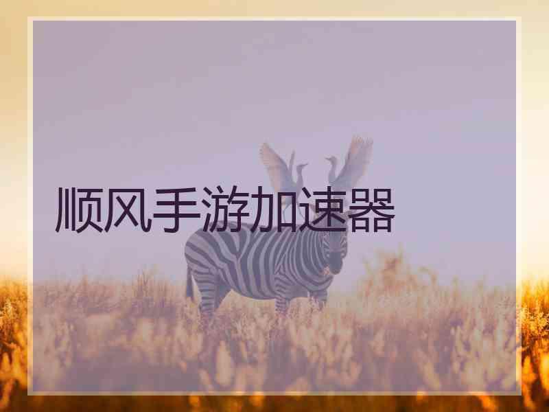 顺风手游加速器