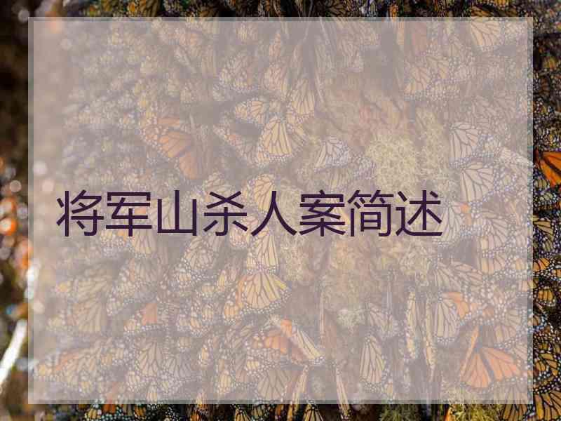 将军山杀人案简述