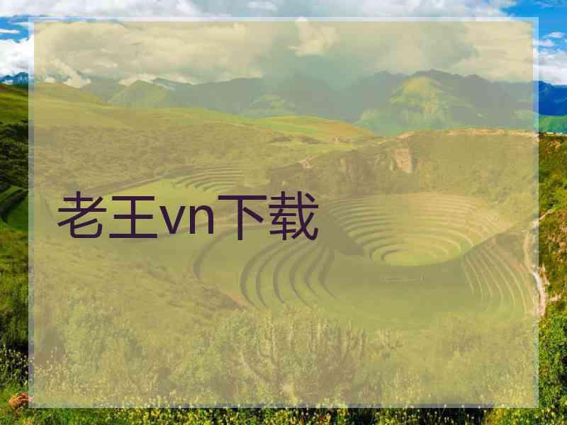 老王vn下载