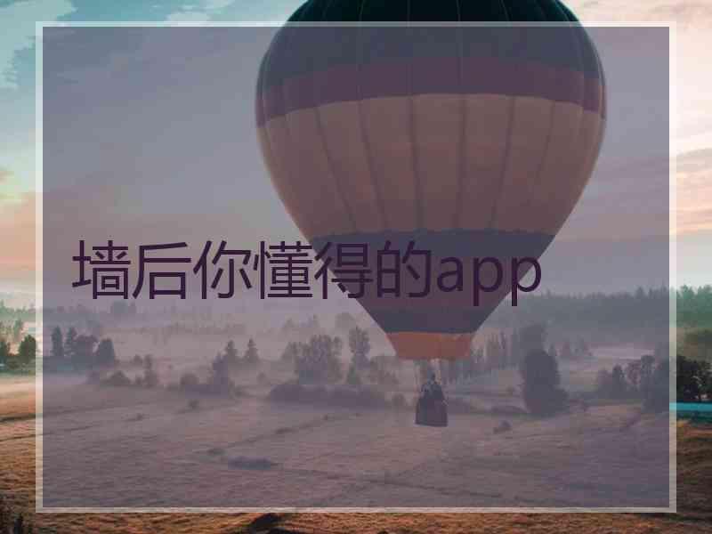 墙后你懂得的app