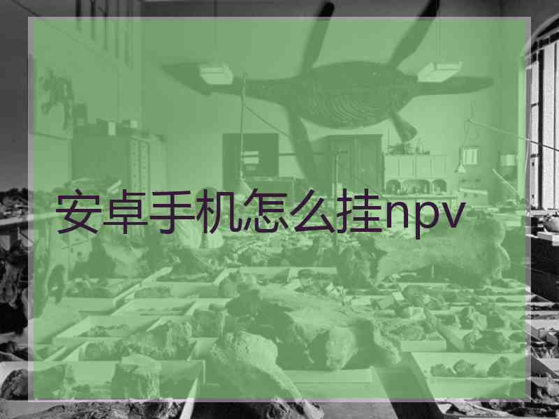 安卓手机怎么挂npv