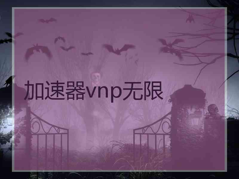 加速器vnp无限