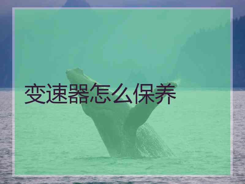 变速器怎么保养