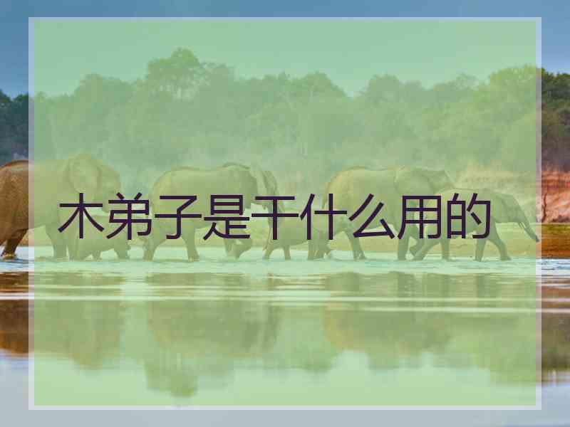木弟子是干什么用的