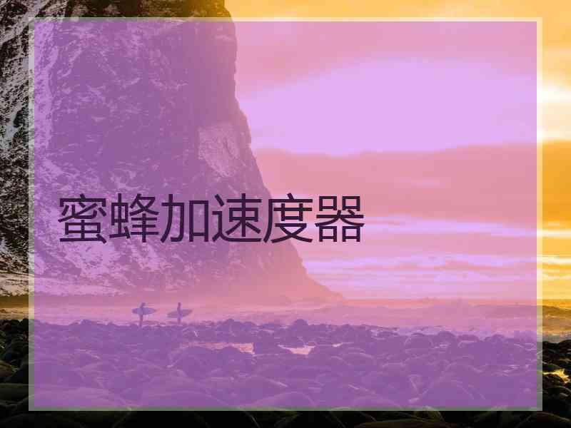 蜜蜂加速度器