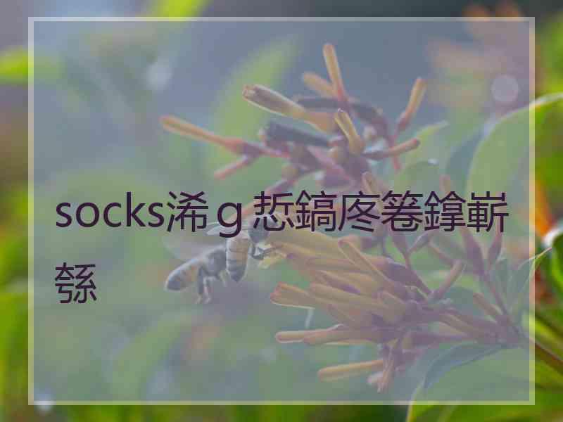 socks浠ｇ悊鎬庝箞鎿嶄綔