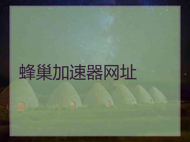 蜂巢加速器网址