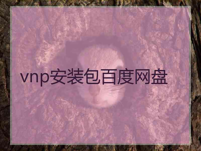 vnp安装包百度网盘