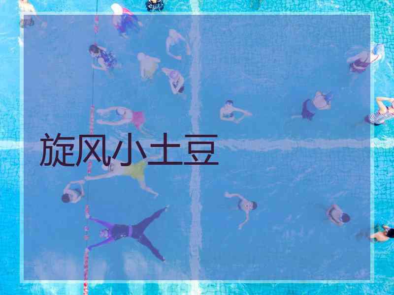 旋风小土豆