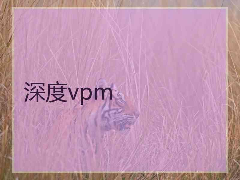 深度vpm