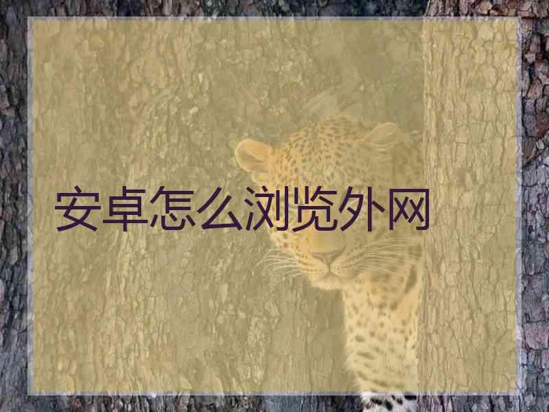安卓怎么浏览外网