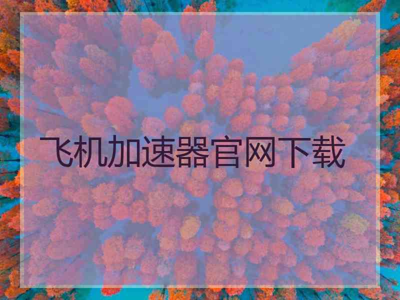 飞机加速器官网下载