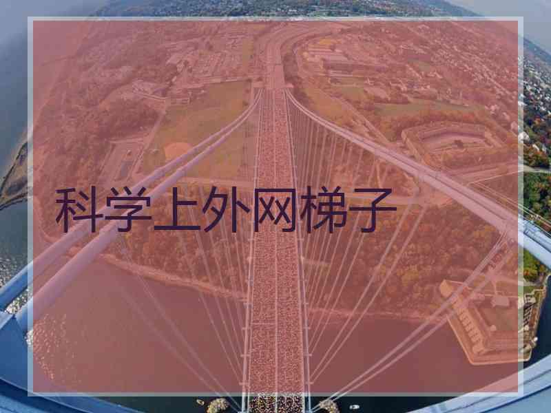 科学上外网梯子
