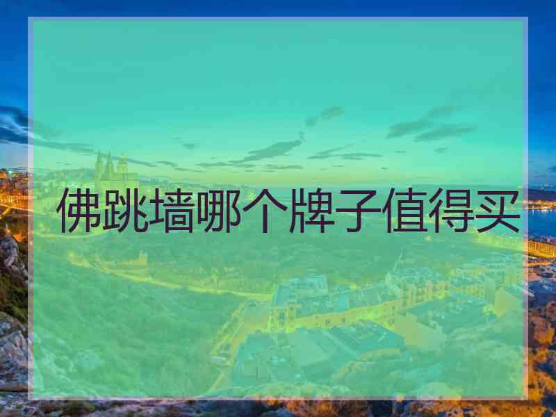 佛跳墙哪个牌子值得买