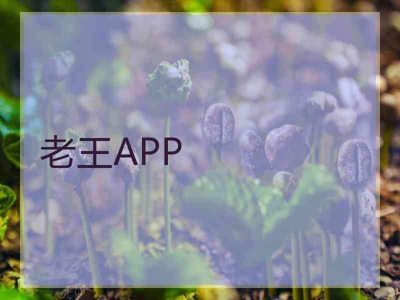 老王APP