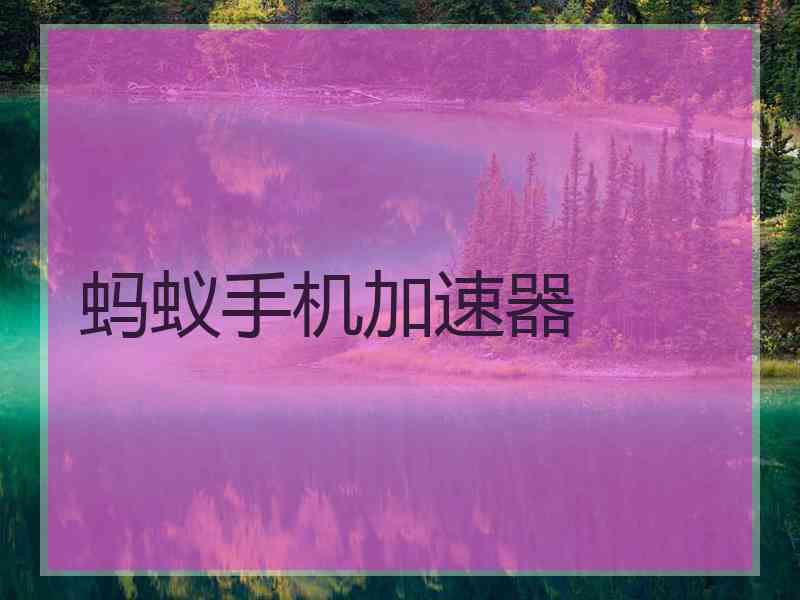 蚂蚁手机加速器