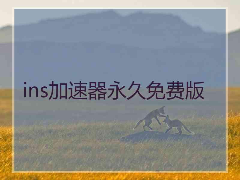 ins加速器永久免费版