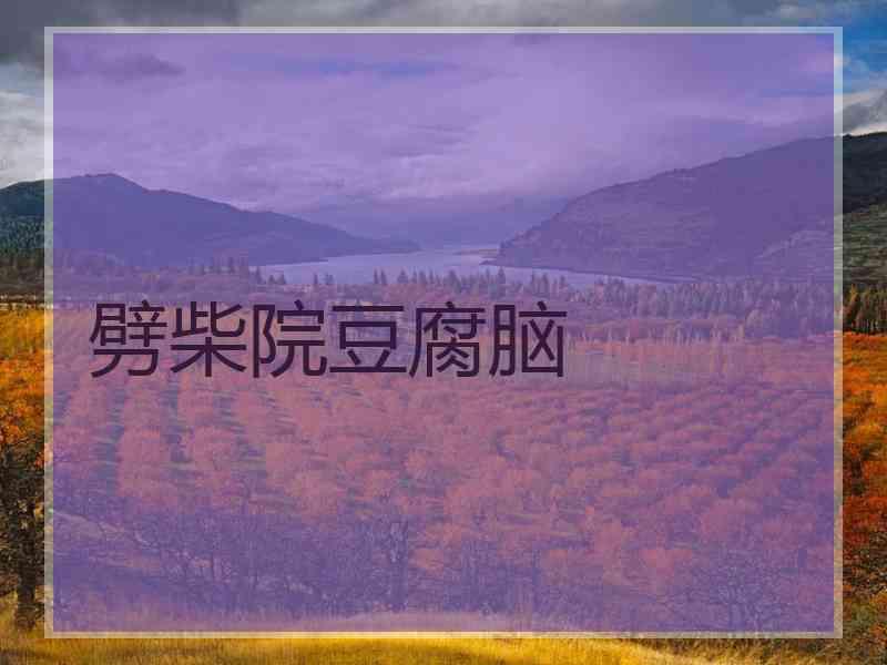 劈柴院豆腐脑