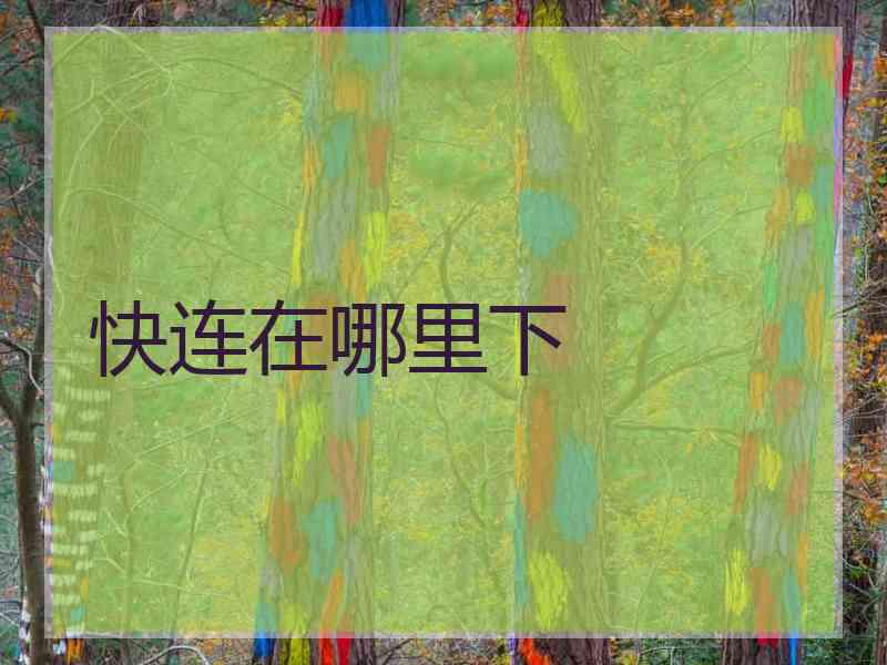 快连在哪里下