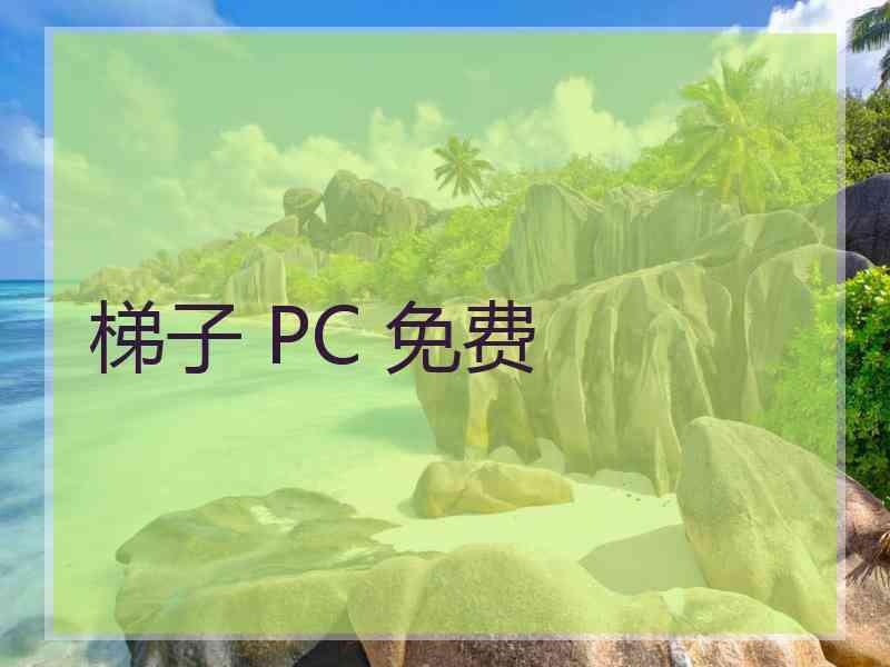 梯子 PC 免费