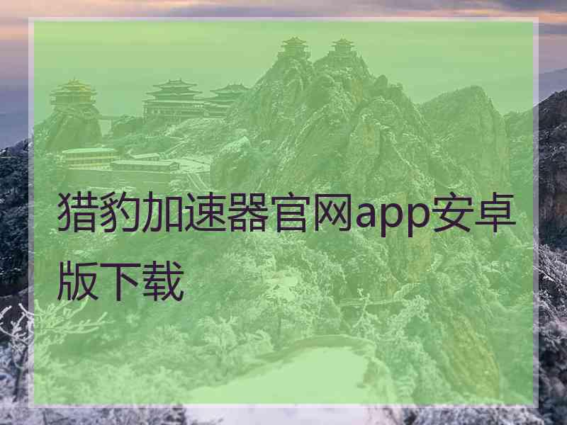 猎豹加速器官网app安卓版下载