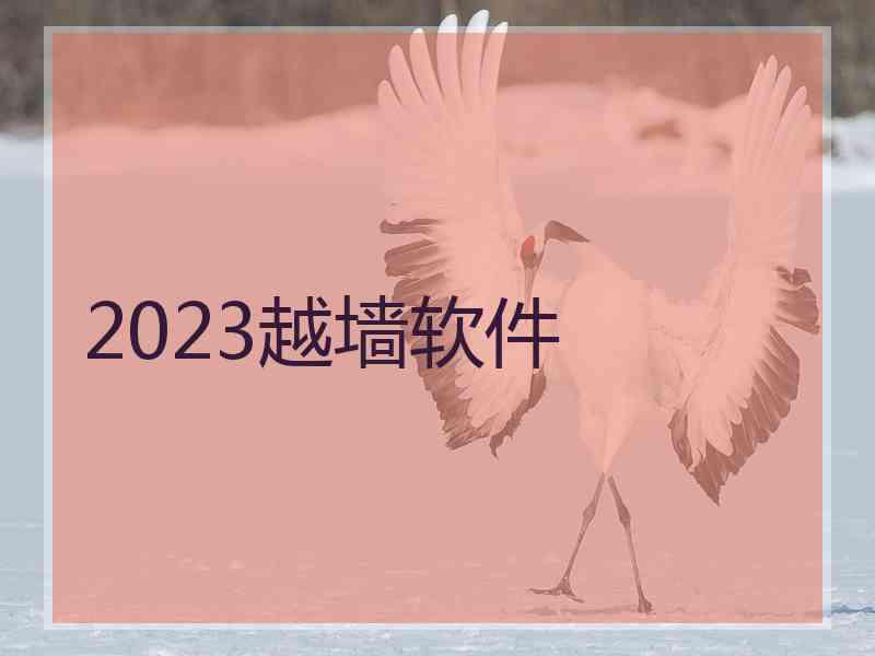 2023越墙软件