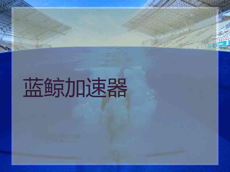 蓝鲸加速器