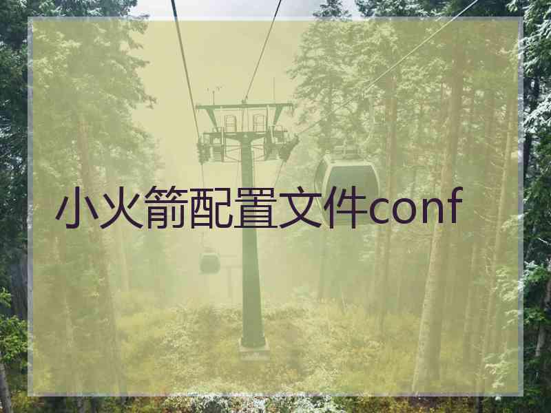 小火箭配置文件conf
