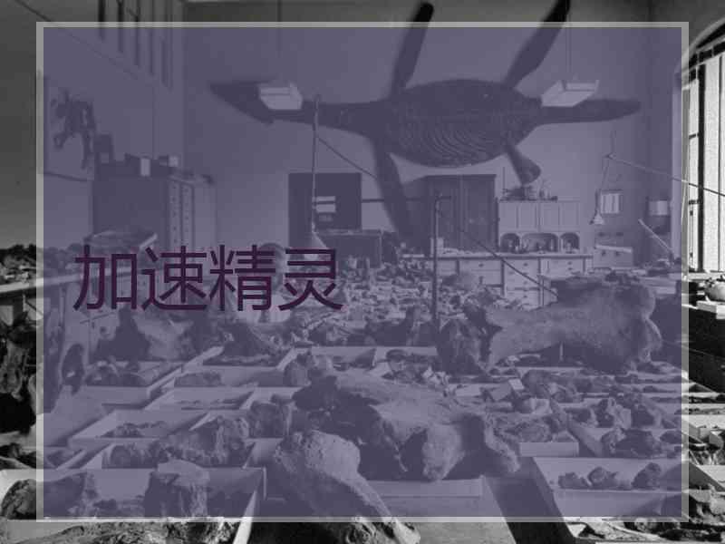 加速精灵