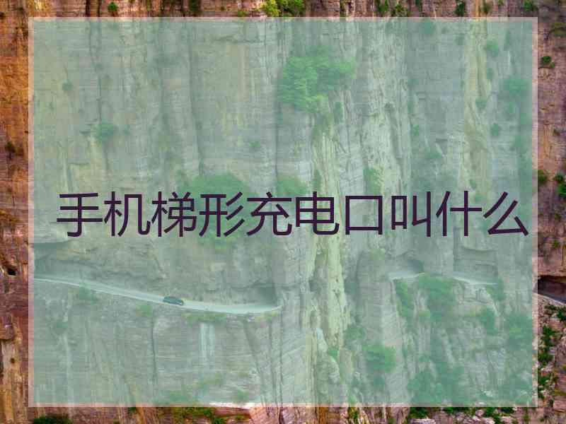手机梯形充电口叫什么