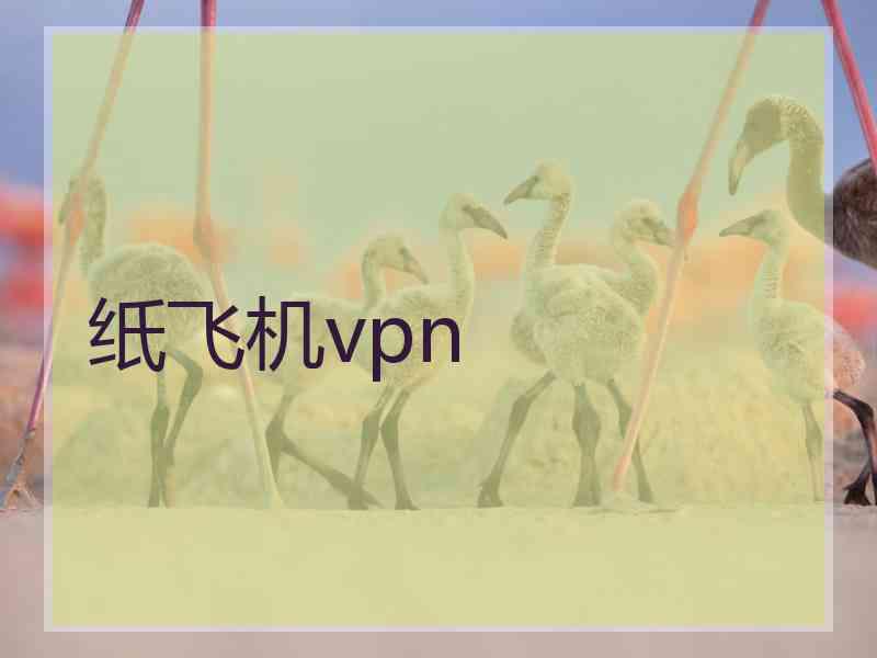 纸飞机vpn