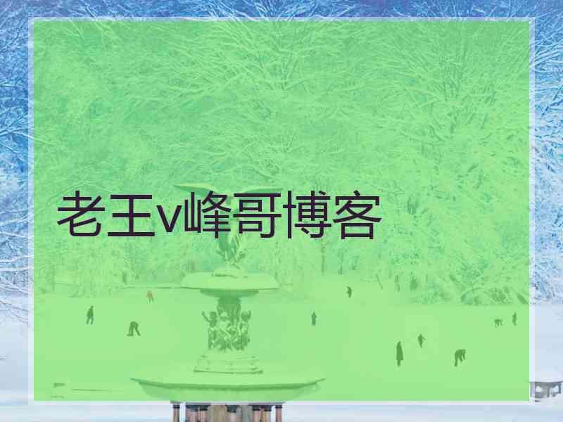 老王v峰哥博客