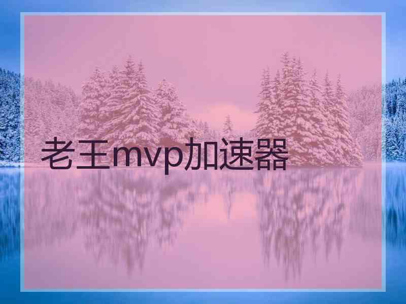 老王mvp加速器