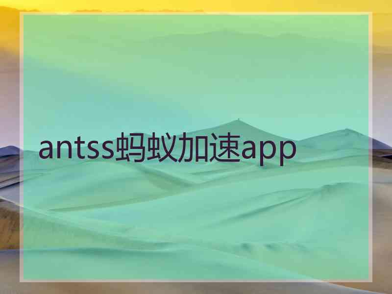 antss蚂蚁加速app