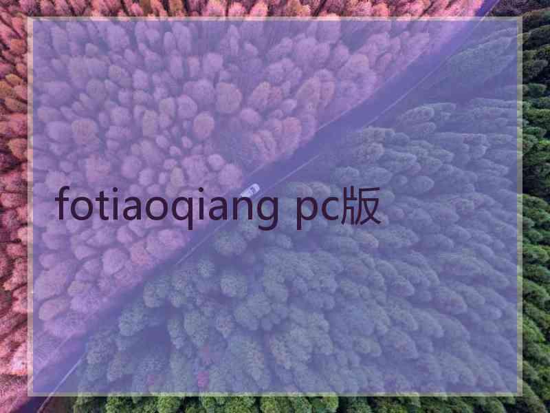 fotiaoqiang pc版