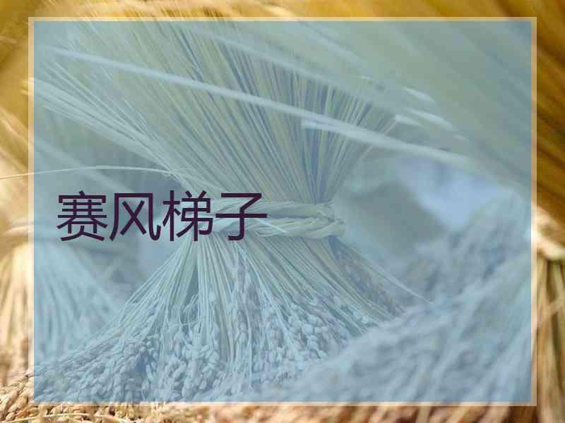赛风梯子