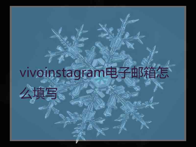 vivoinstagram电子邮箱怎么填写