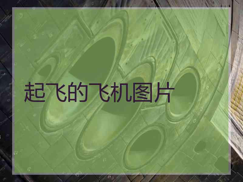 起飞的飞机图片