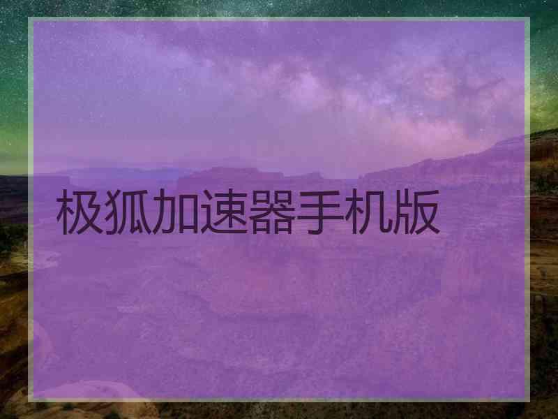 极狐加速器手机版