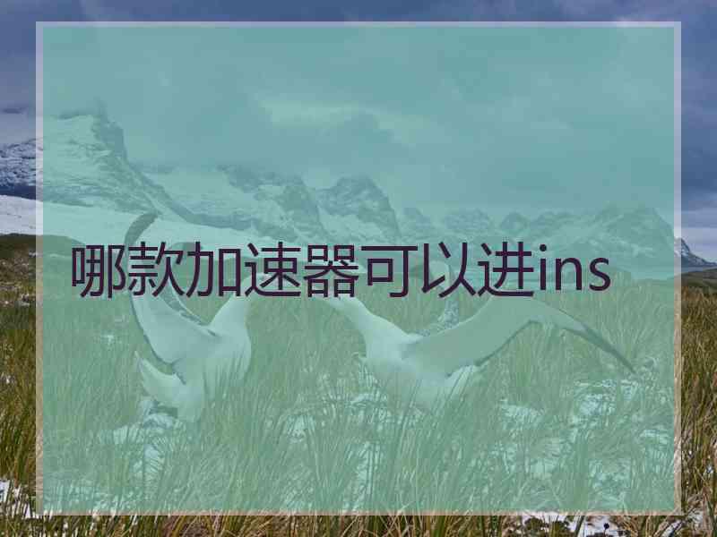 哪款加速器可以进ins
