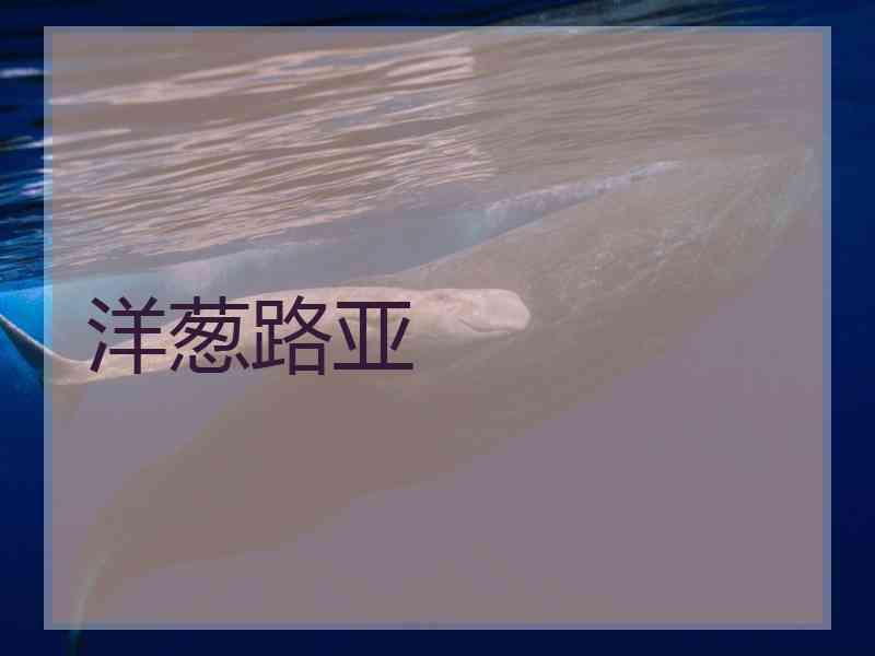 洋葱路亚