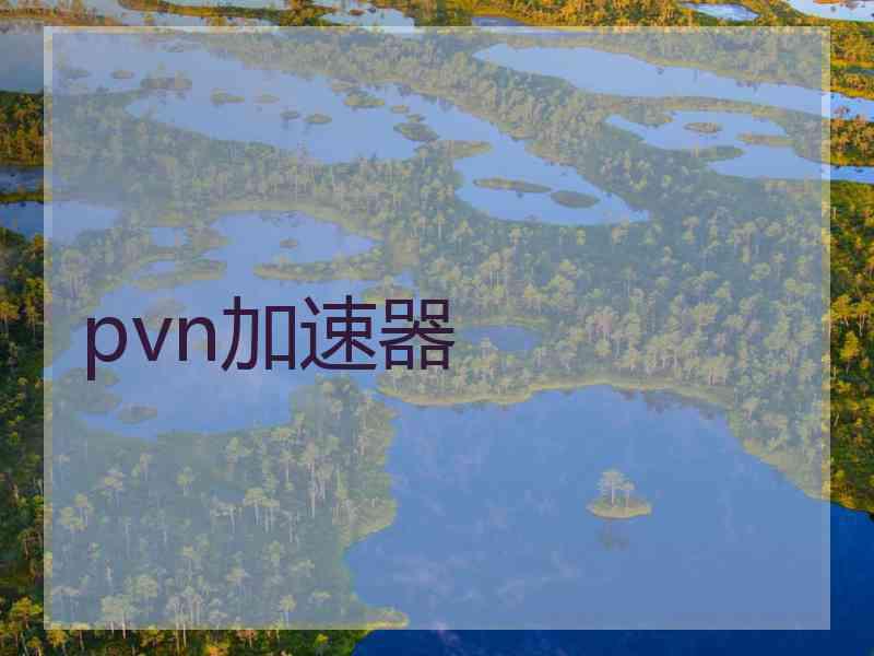 pvn加速器
