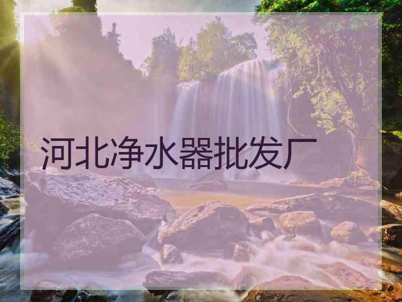 河北净水器批发厂