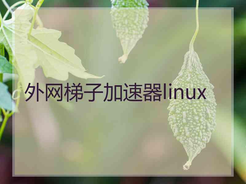 外网梯子加速器linux